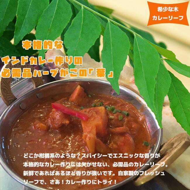 カレーリーフ カレーリーフ 3