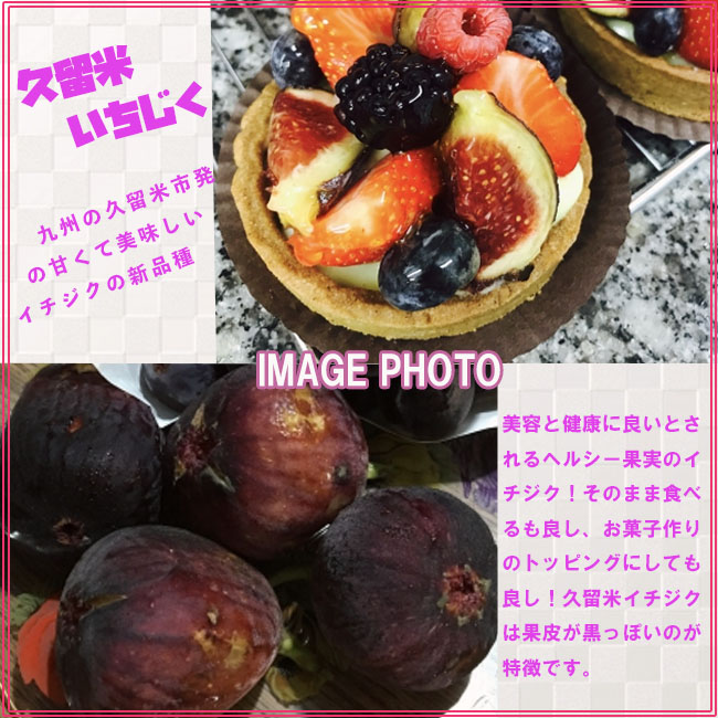 イチジク 久留米くろみつ