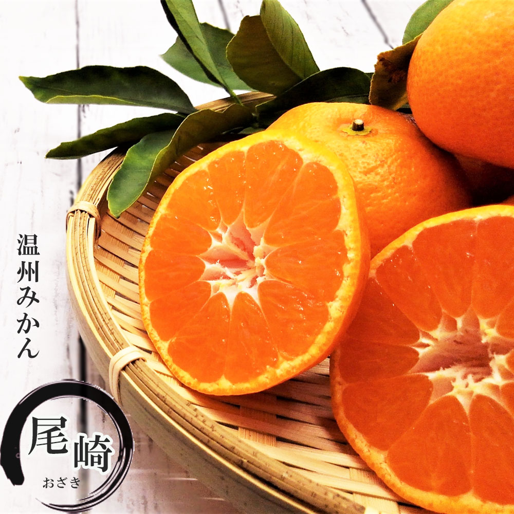 柑橘 温州みかん 尾崎 苗 おすすめ 苗木部 By 花ひろばオンライン