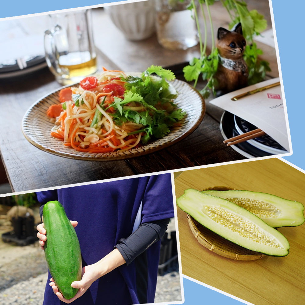 パパイヤ 美らタイ 5