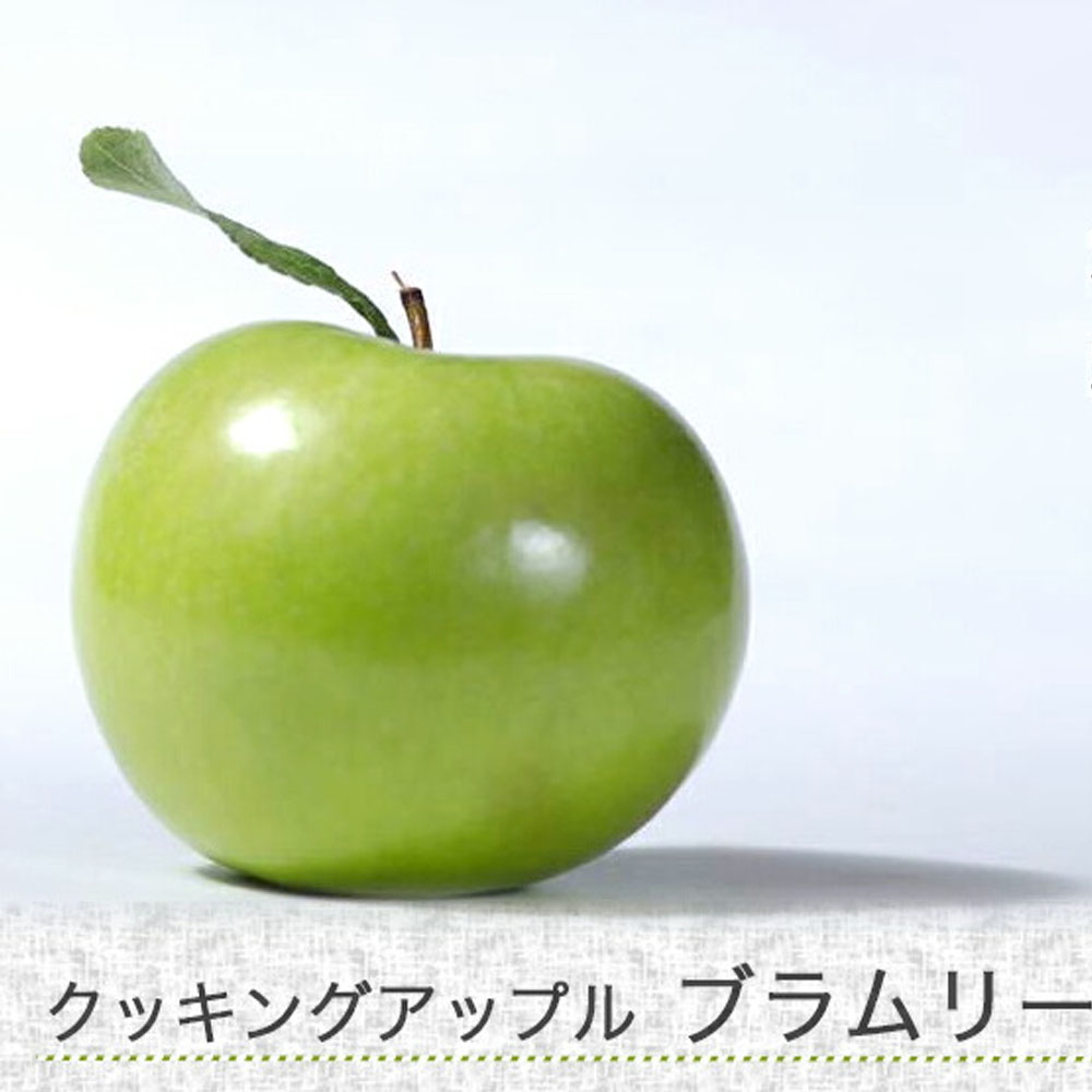 リンゴ クッキングアップル ブラムリー 苗 おすすめ 苗木部 By 花