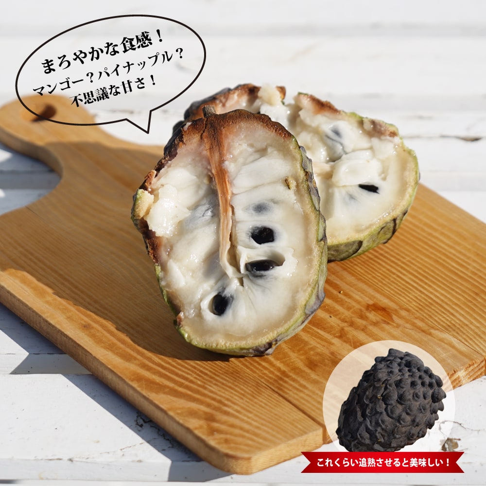 アテモヤ ピンクマンモス 苗 通販 苗木部 By 花ひろばオンライン