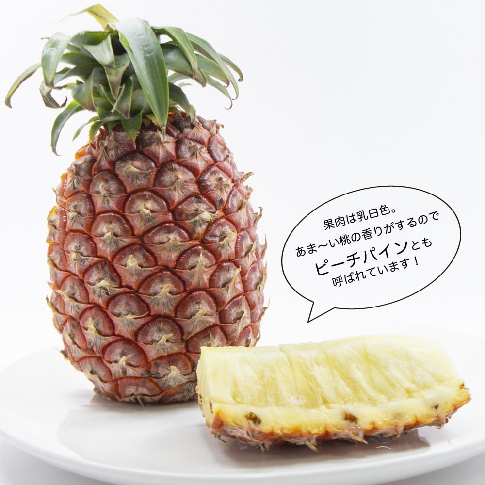 パイナップル ソフトタッチ 2