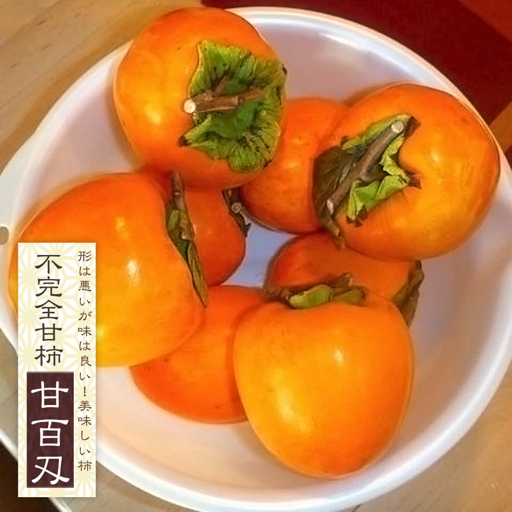 柿 甘百刄 
