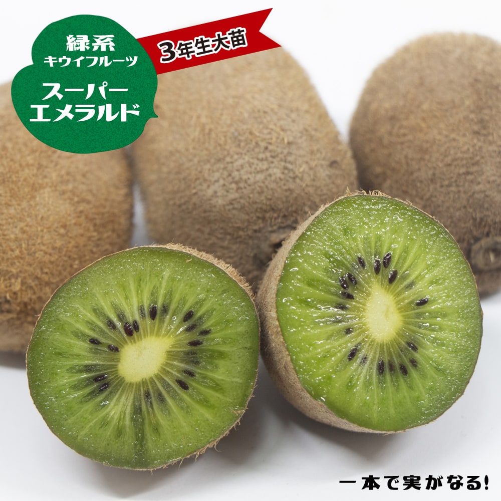 キウイ スーパーエメラルド 