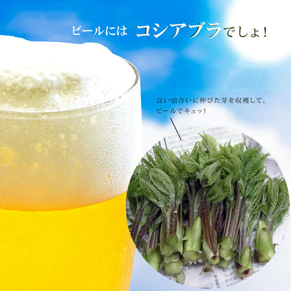 ビールにはコシアブラ。