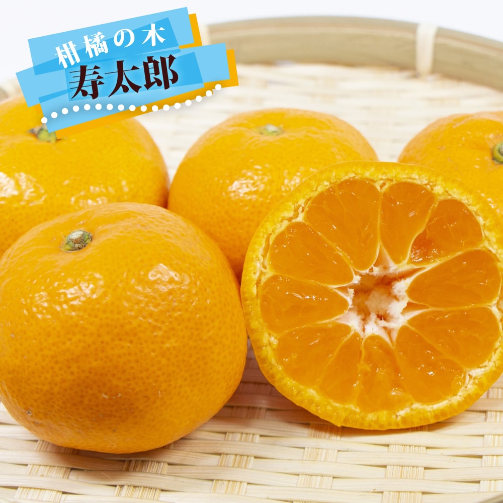 柑橘 寿太郎 