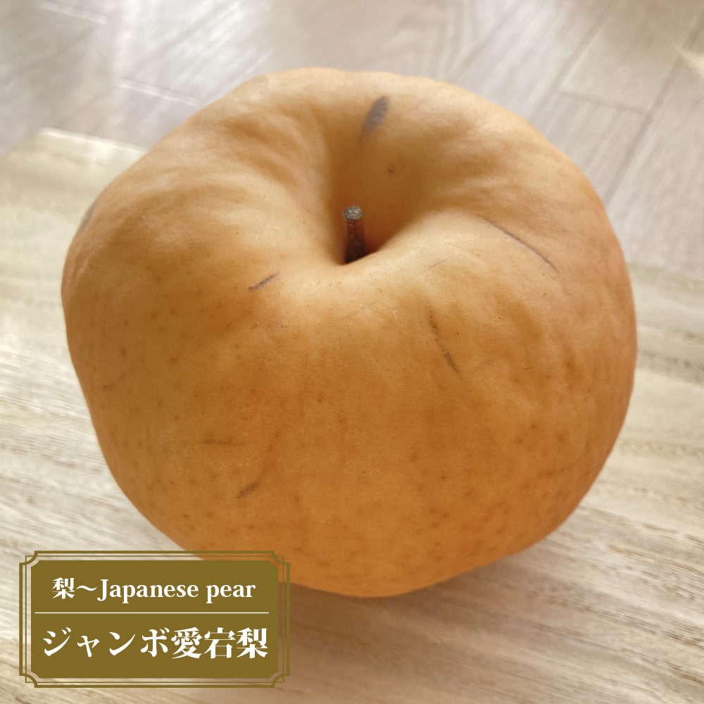 梨 ジャンボ愛宕梨 