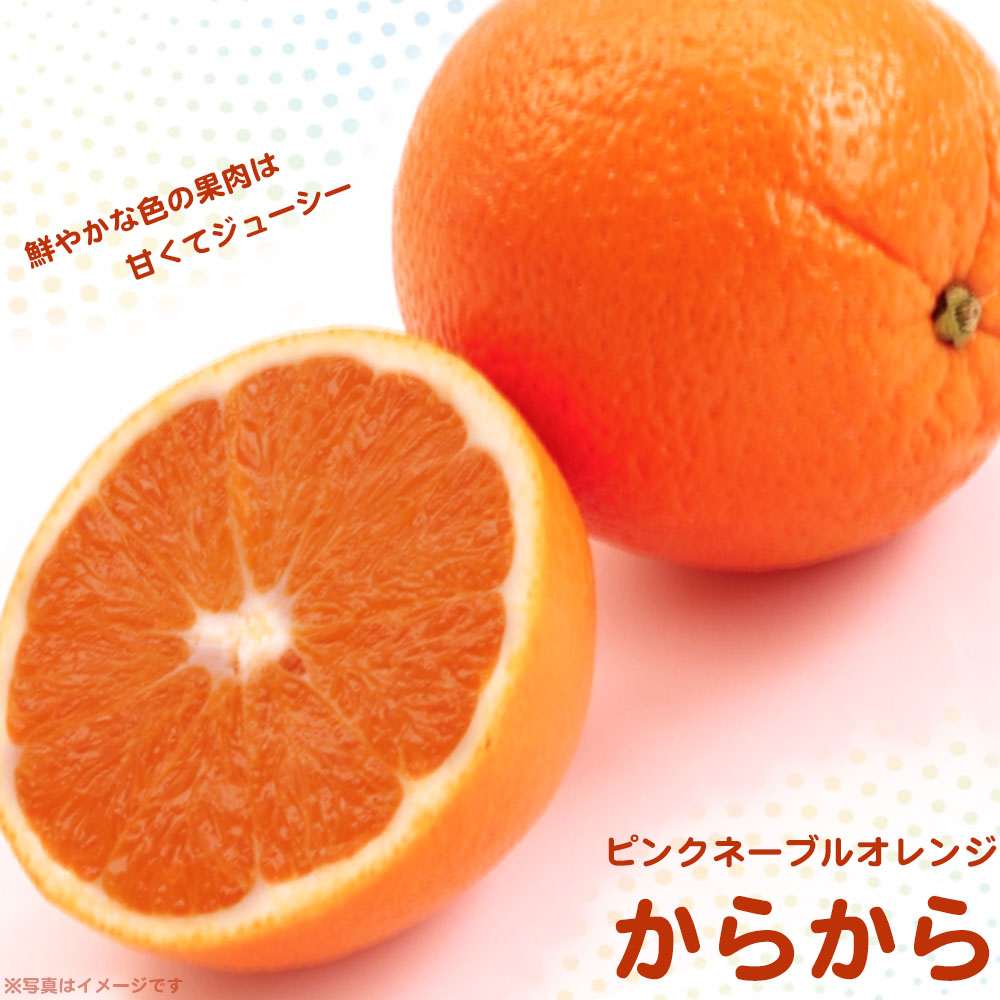 柑橘 ピンクネーブル からから 