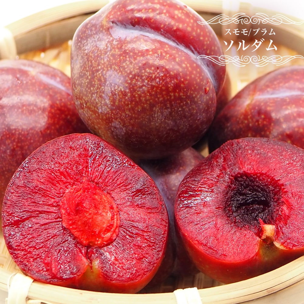 プラム・スモモ ソルダム 