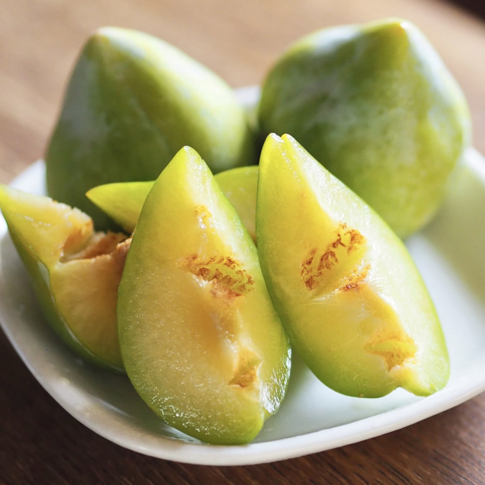 プラム・スモモ ケルシージャパン 