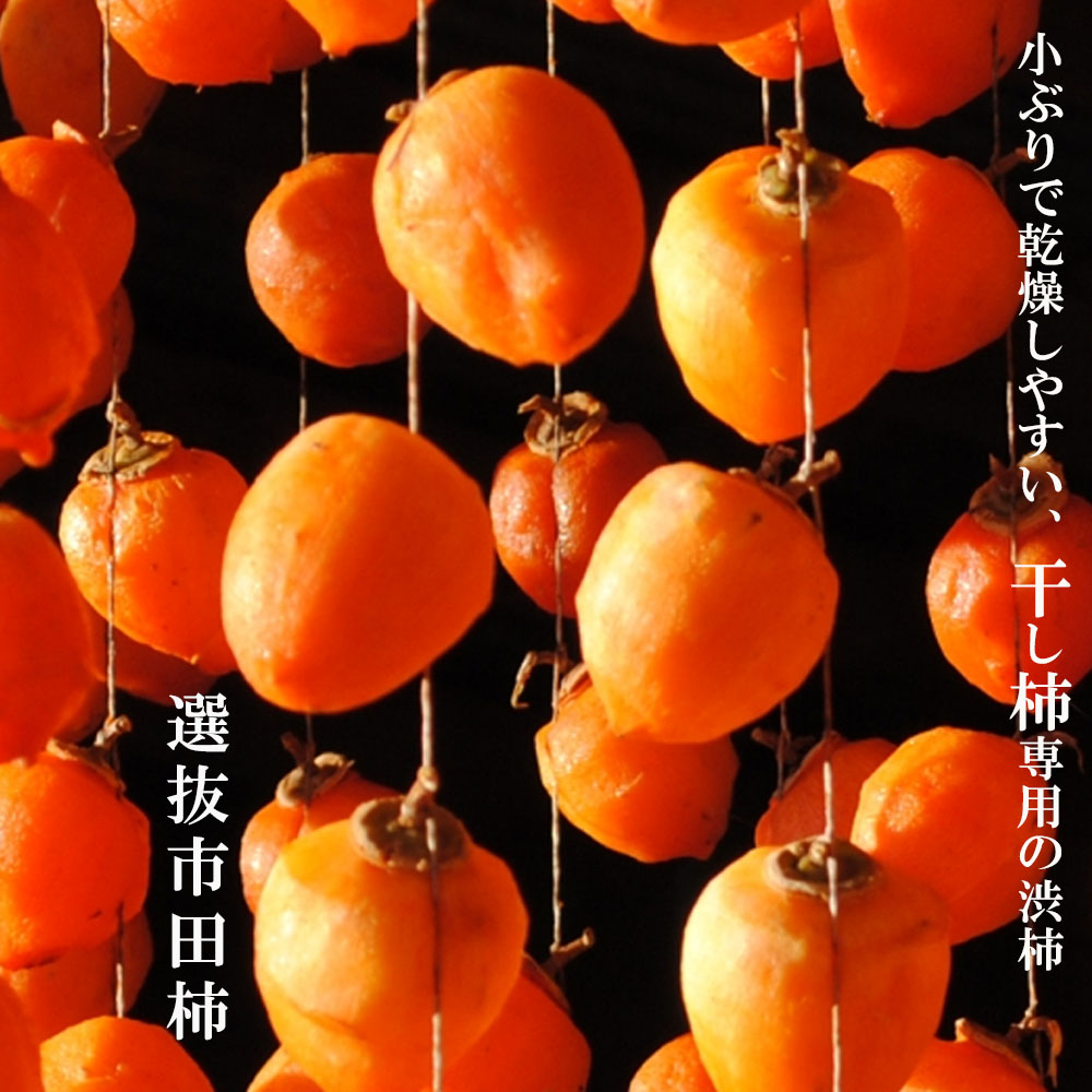 柿 選抜市田柿 