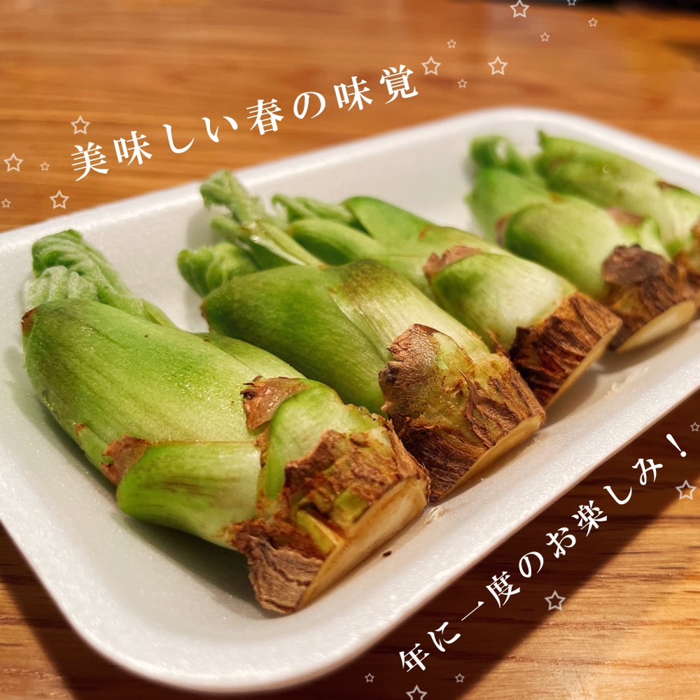 たらのき トゲナシタラ 4