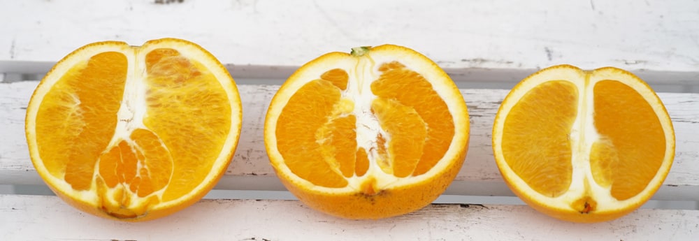 柑橘 ネーブルオレンジ 3