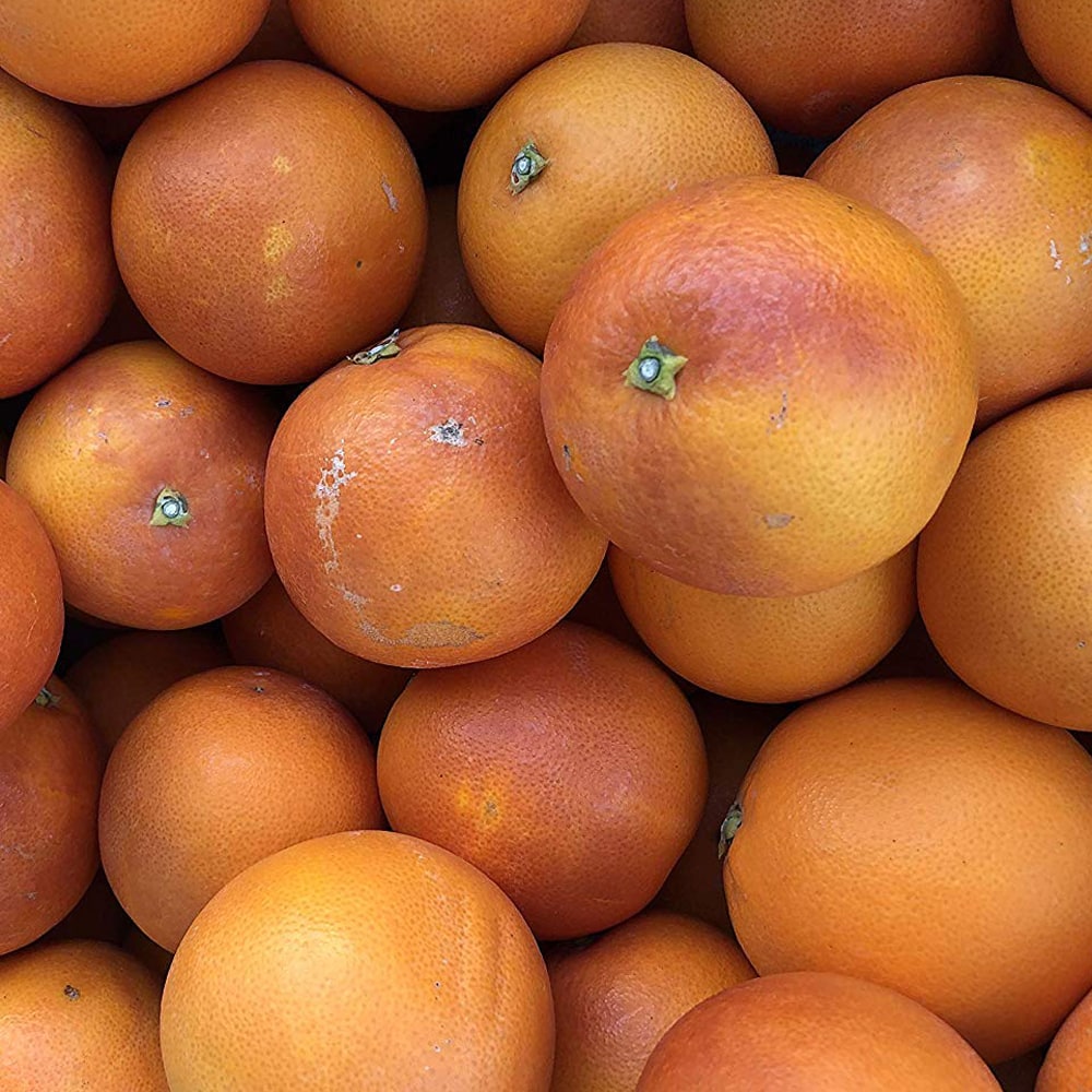 柑橘 タロッコ 1