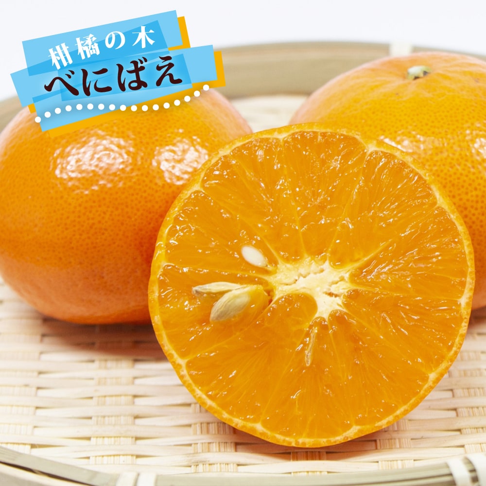 べにばえ タンゴール 苗 販売 苗木部 By 花ひろばオンライン