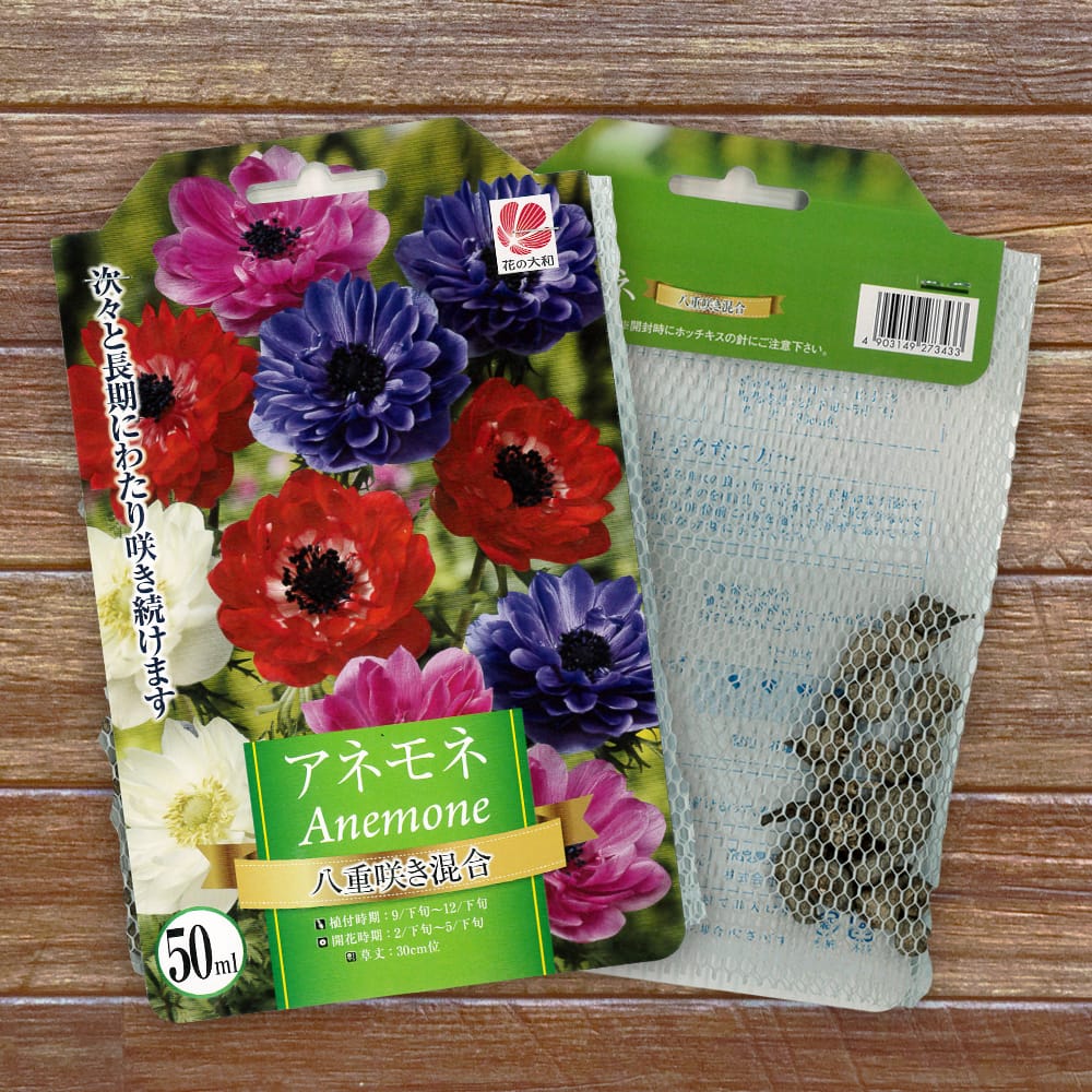 アネモネ 八重咲き 