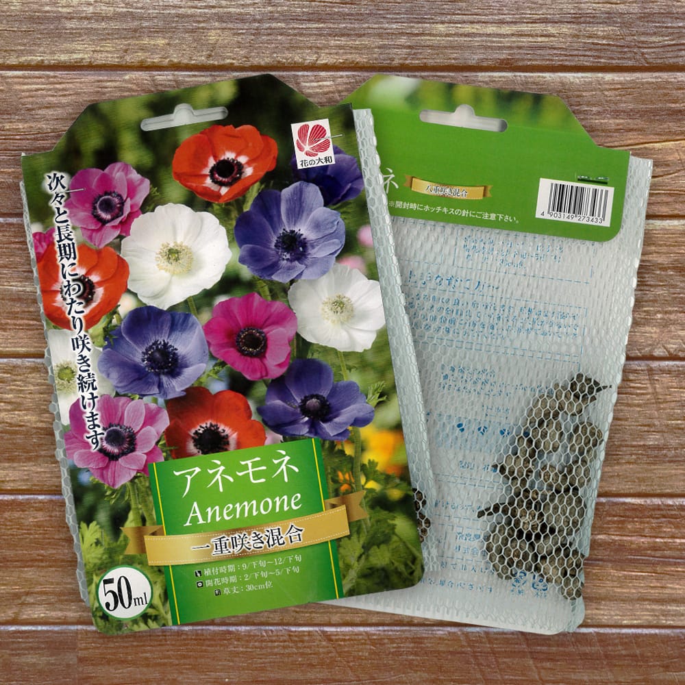 アネモネ 一重咲き 1