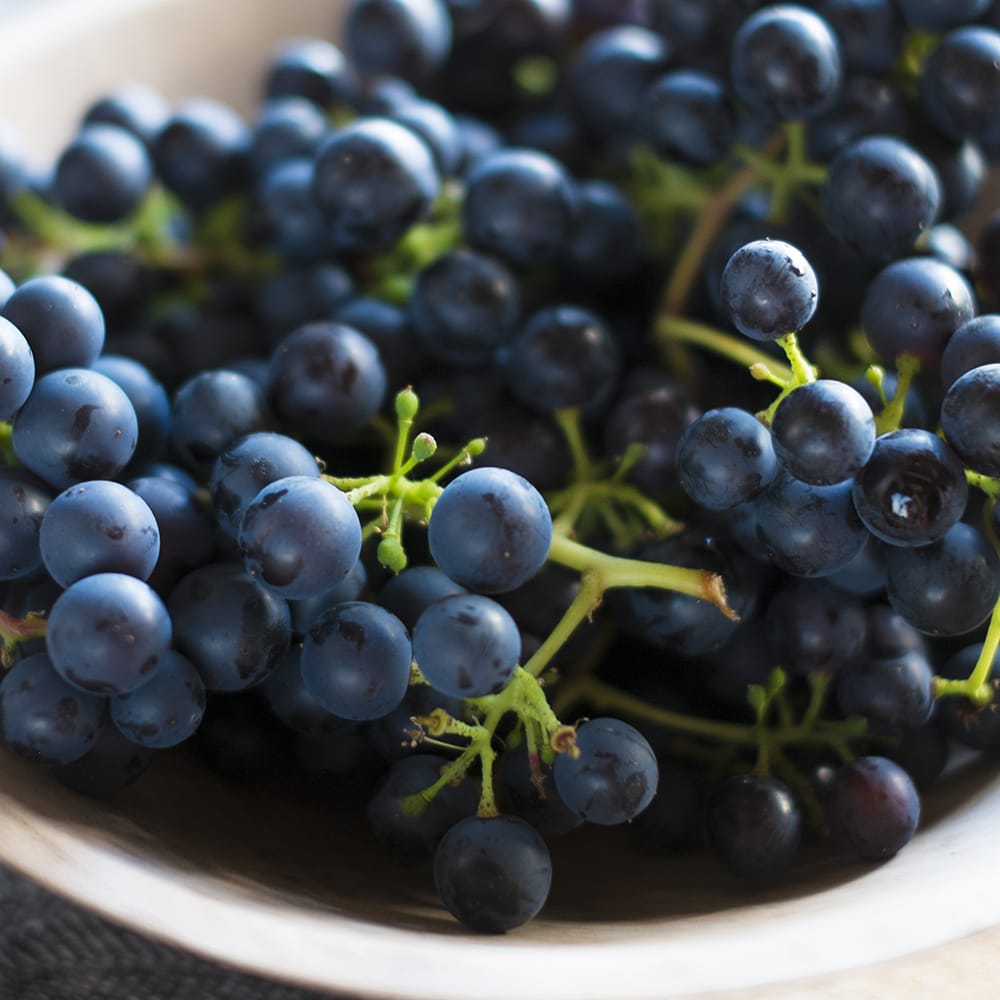 ブドウ ピノノワール 5