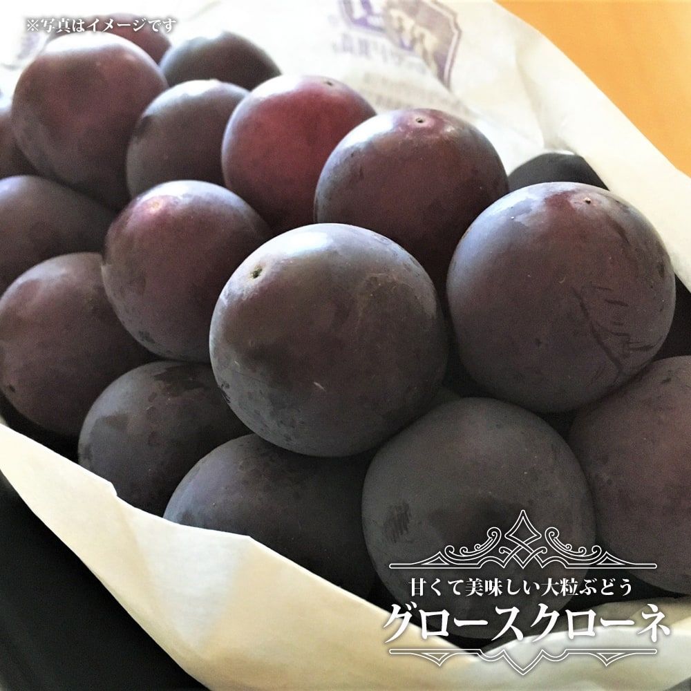 ブドウ グロースクローネ 