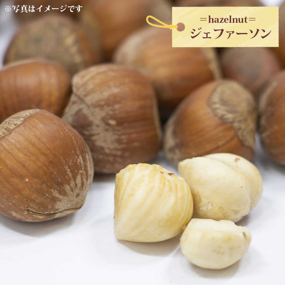 ヘーゼルナッツ ジェファーソン 苗 販売 苗木部 By 花ひろばオンライン