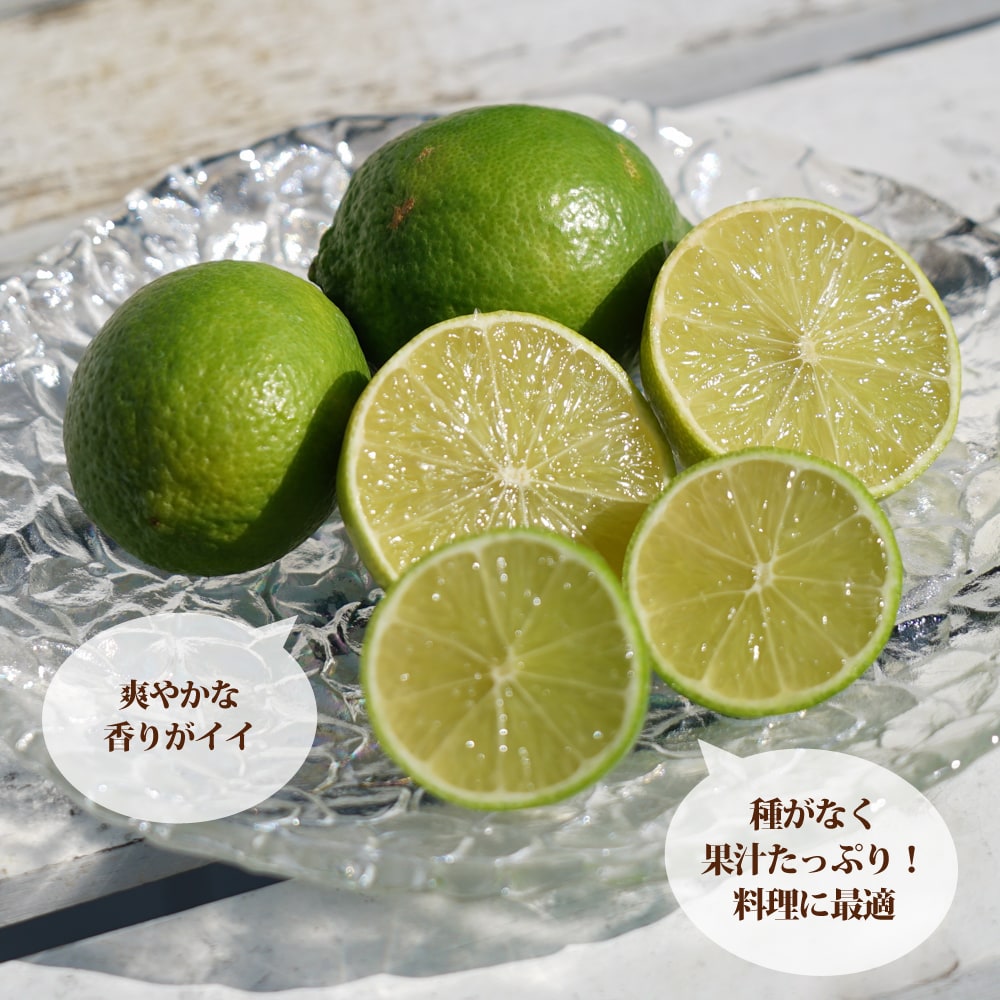 柑橘 ライム フレーバーグリーン 苗 通販 苗木部 By 花ひろばオンライン