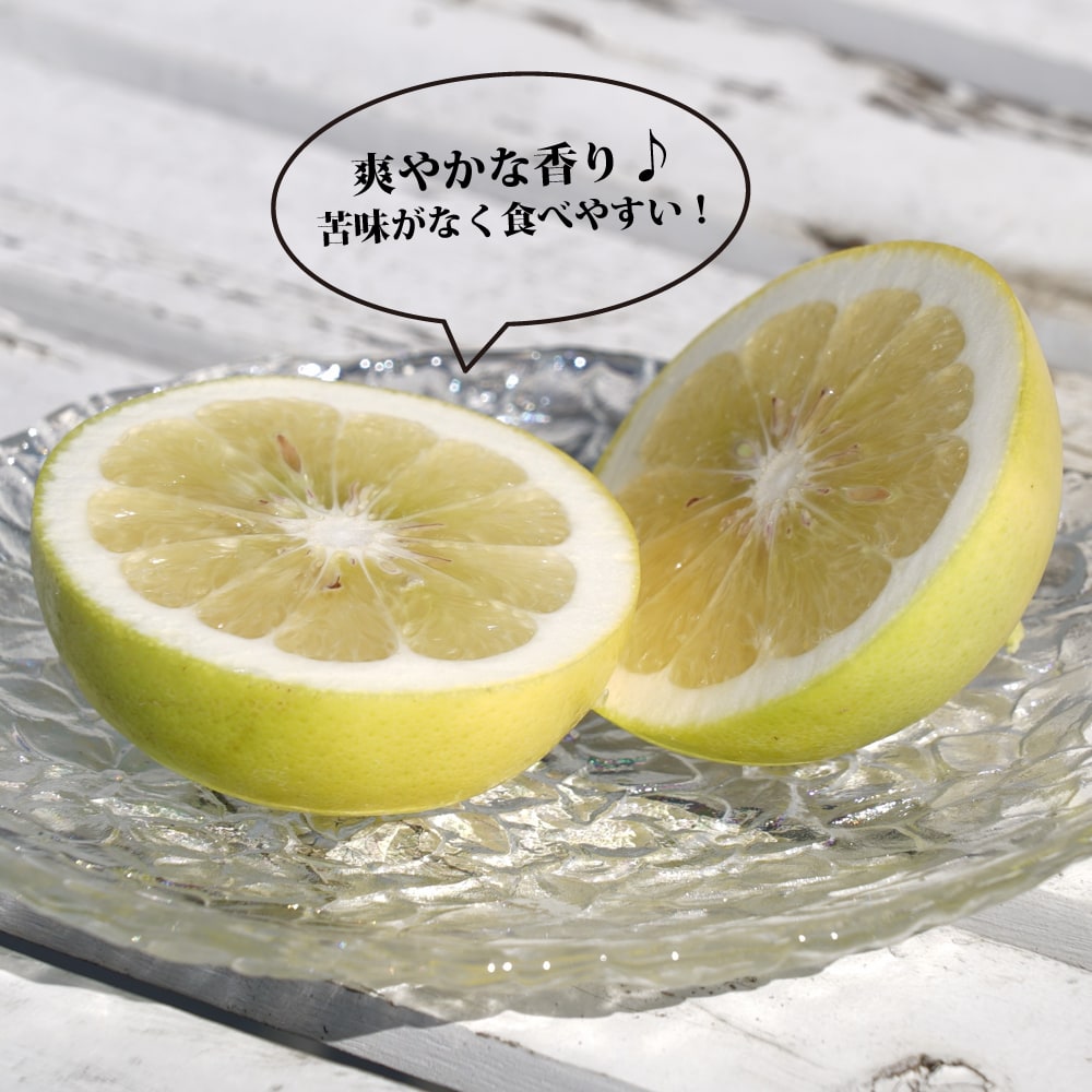 柑橘 スイーティー 3