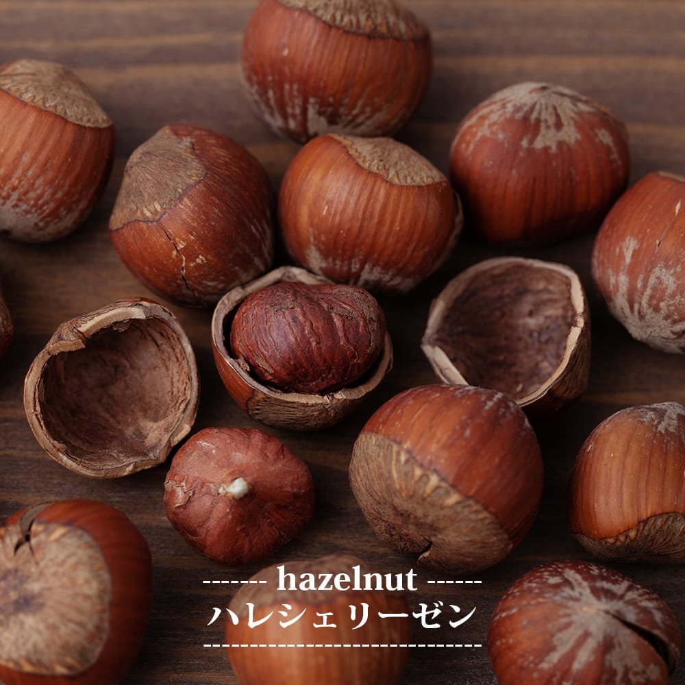 ヘーゼルナッツ ハレシェリーゼン 