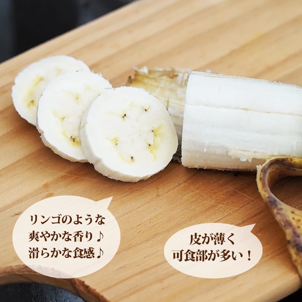 バナナ アップルバナナ 苗 通販 苗木部 By 花ひろばオンライン