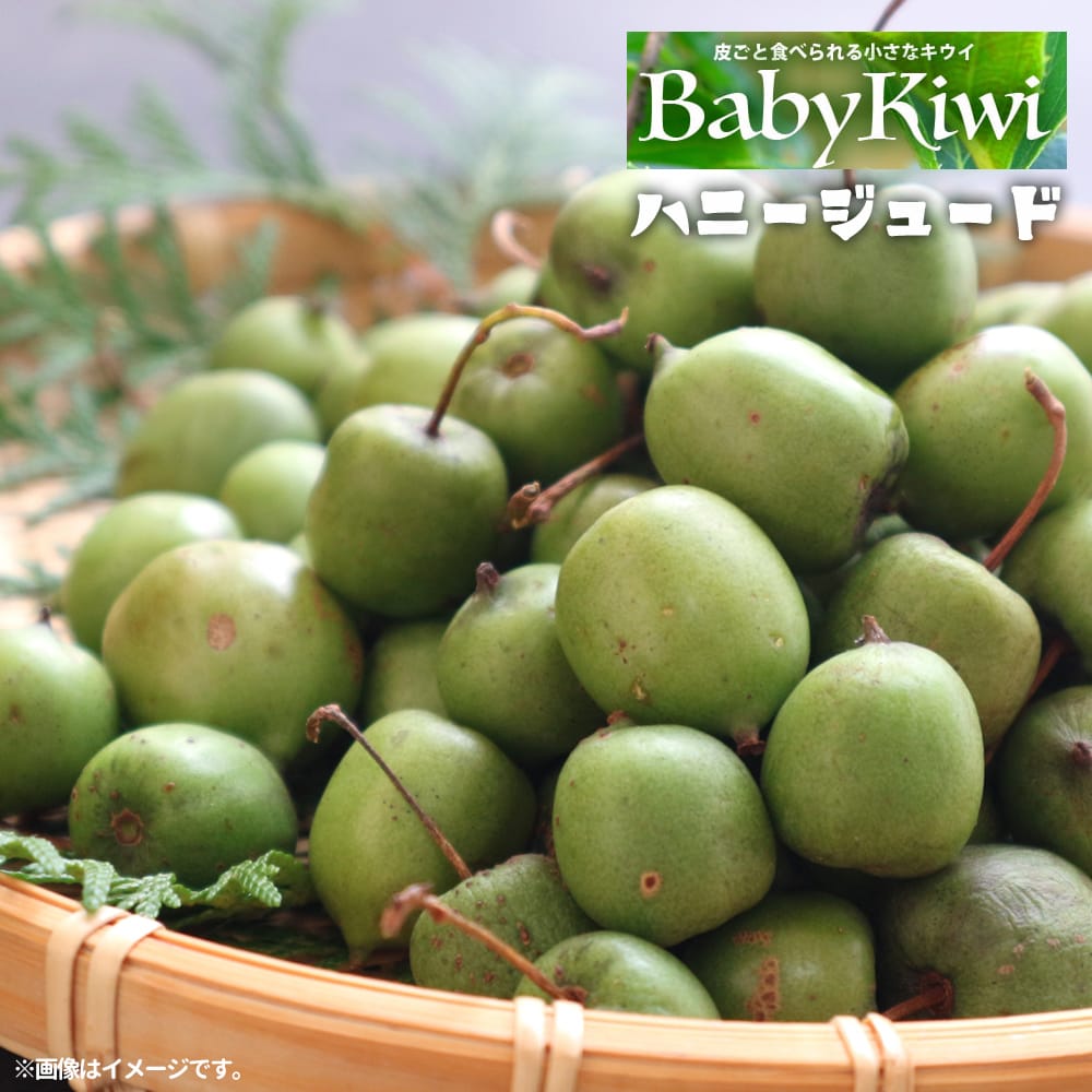 サルナシ ハニージュード 