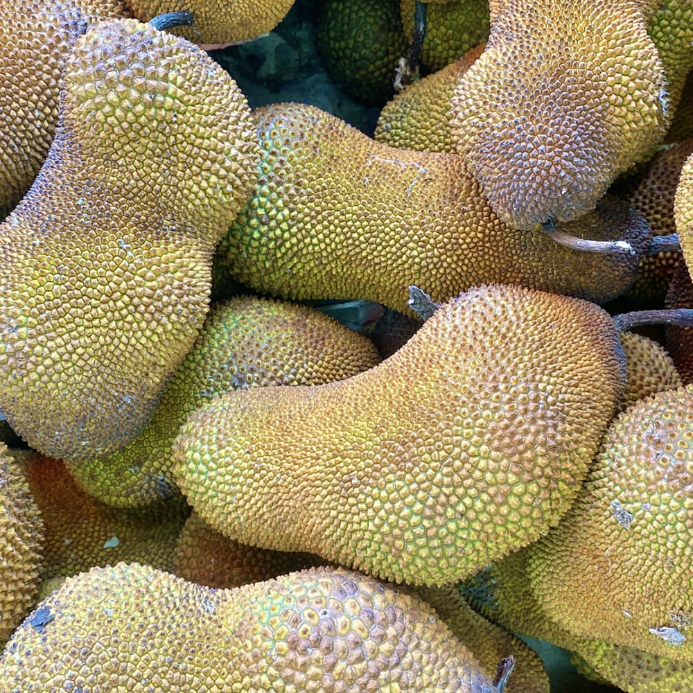 コパラミツ コパラミツ 2