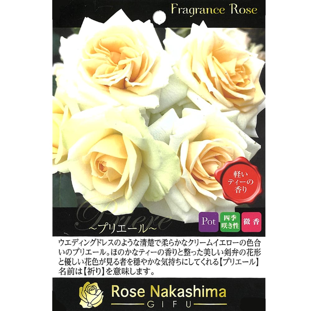 バラ プリエール 1