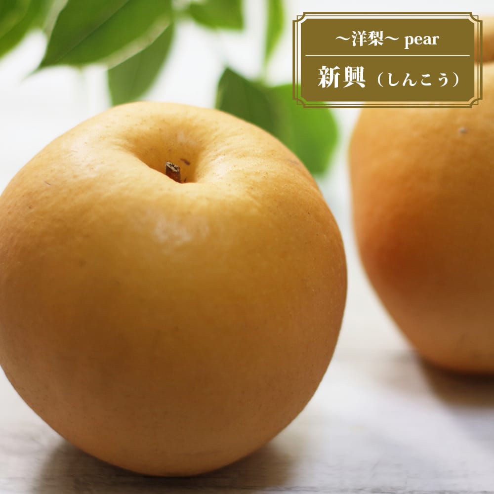 梨 新興 