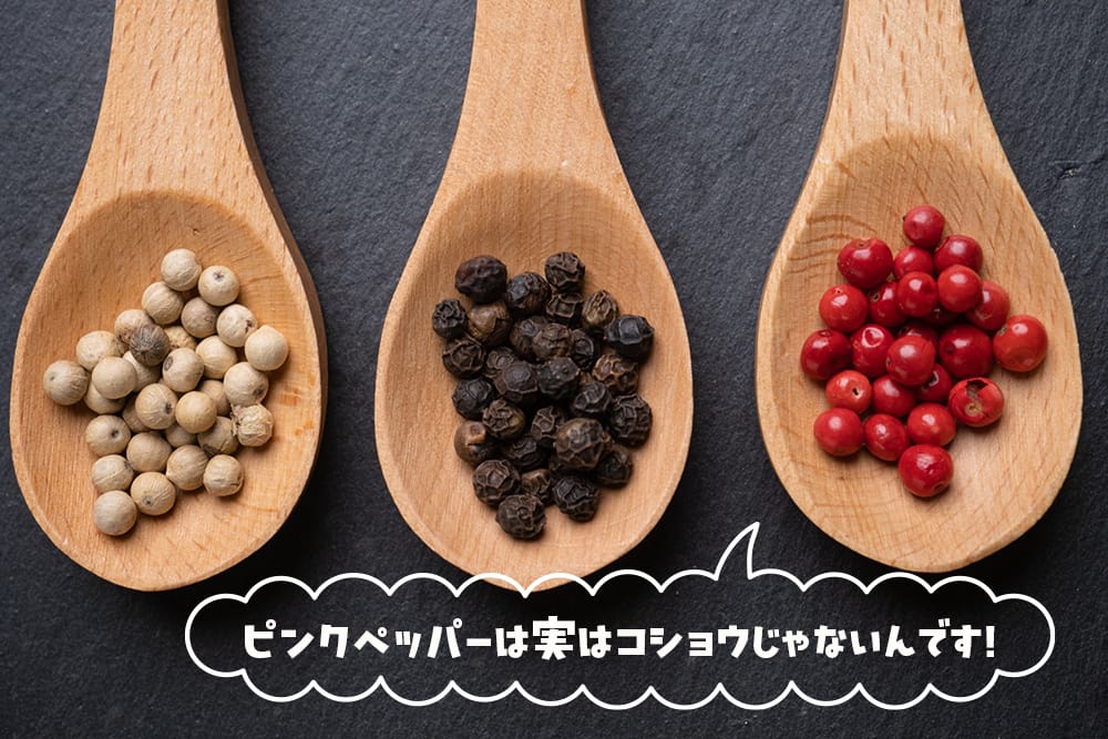 ペッパーツリー ペッパーツリー 2