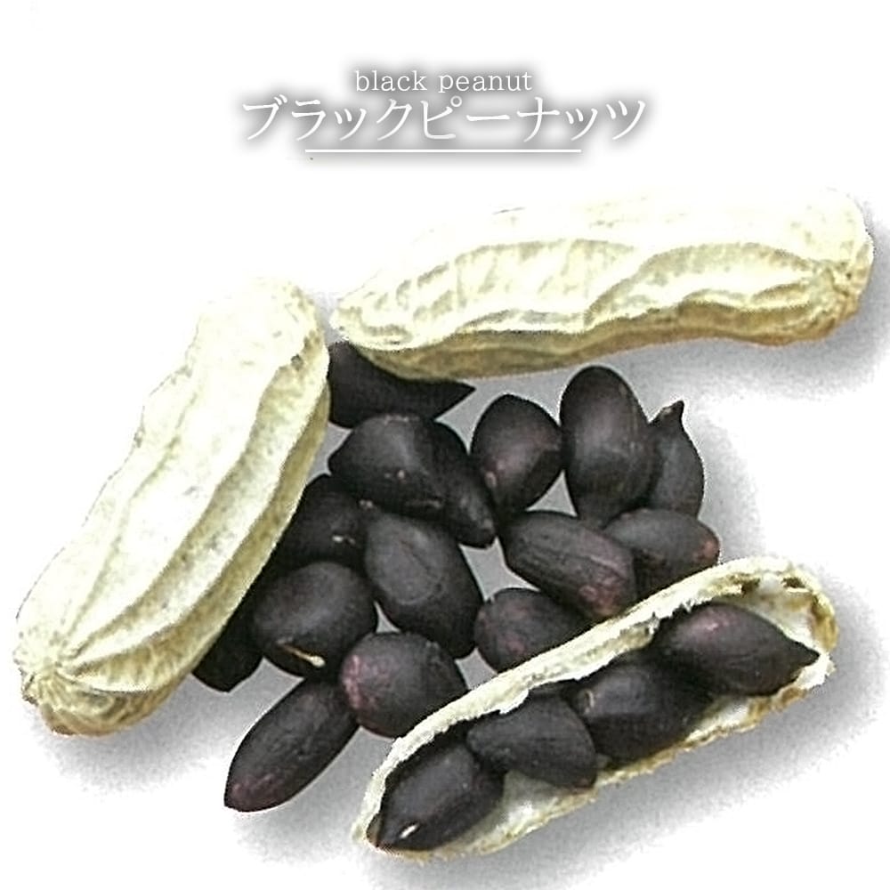 ピーナッツ ブラックピーナッツ 苗 販売 苗木部 By 花ひろばオンライン