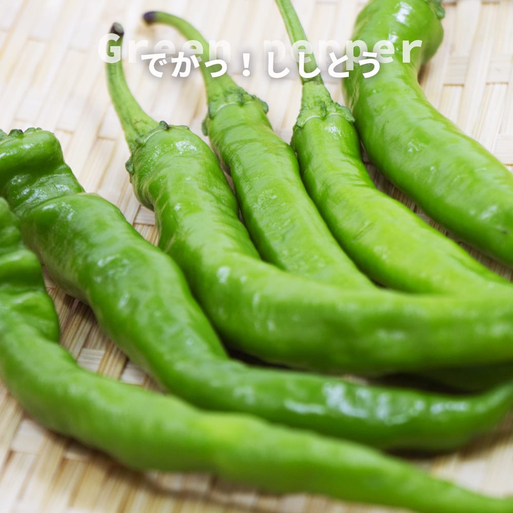 ししとう でかっ ししとう 