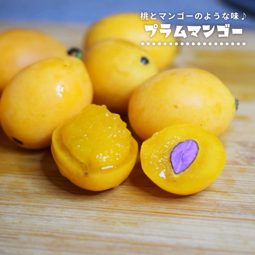 プラムマンゴー プラムマンゴー 苗 販売 苗木部 By 花ひろばオンライン