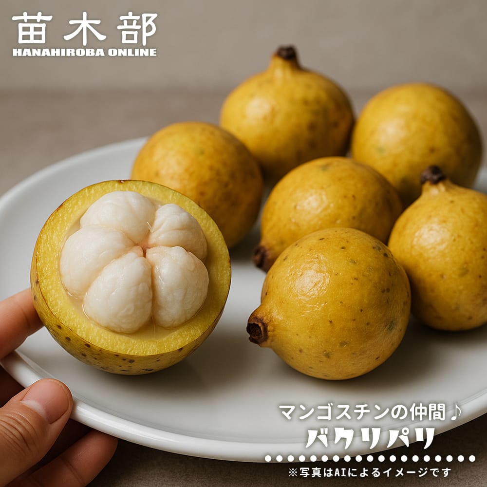 バクリパリ バクリパリ 