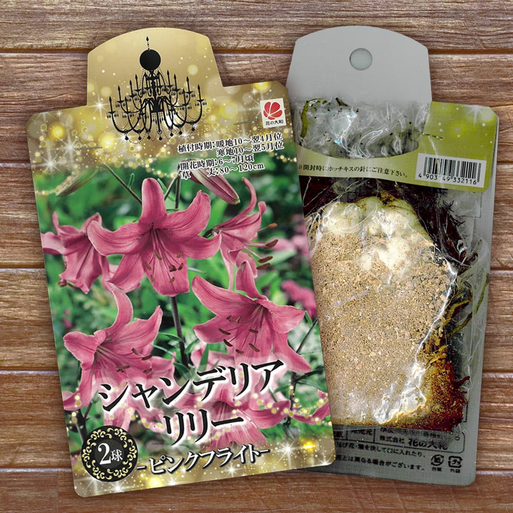 ユリ ピンクフライト 