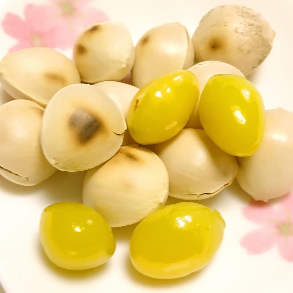 銀杏 藤九郎 1