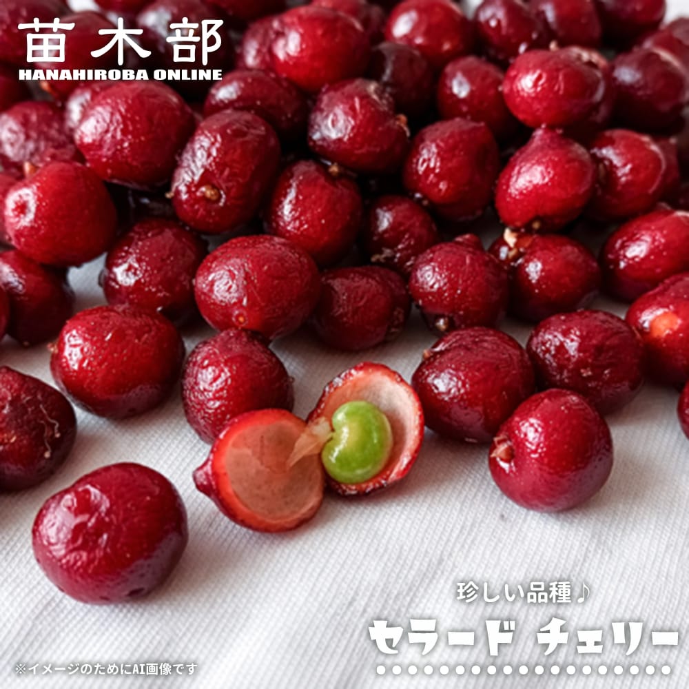 ユーゲニア セラード チェリー 