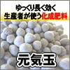 ゆっくり長く効く、化成肥料