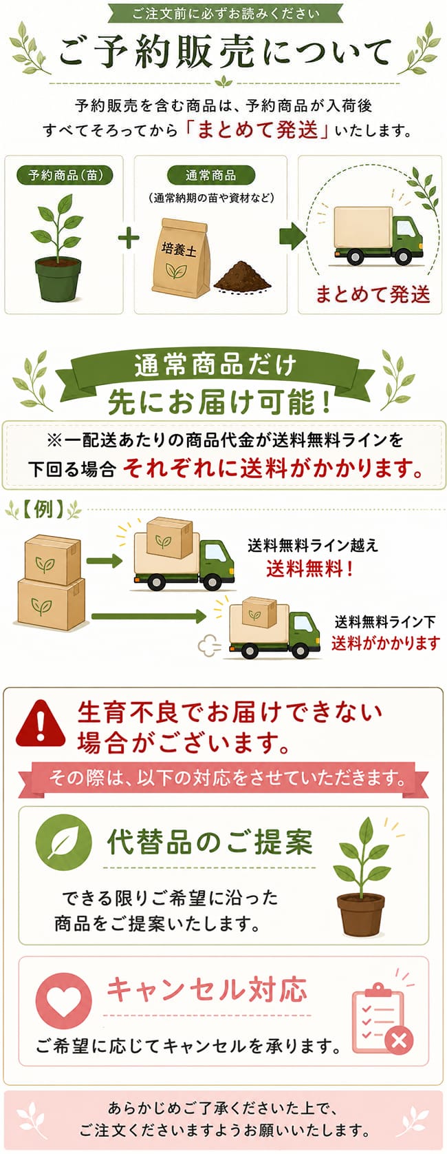 べにばえ タンゴール 苗 通販 苗木部 By 花ひろばオンライン