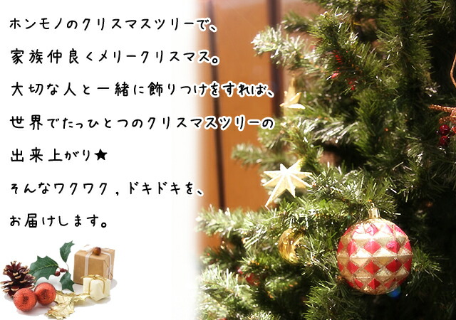 マツ ドイツトーヒー 3