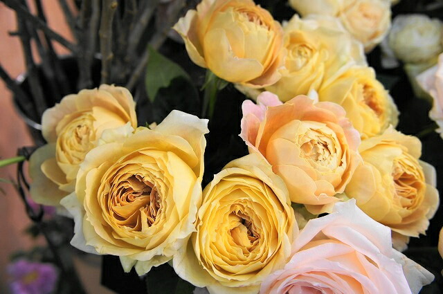 キャラメルアンティーク3