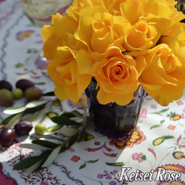 バラ レヨンドゥソレイユ 3