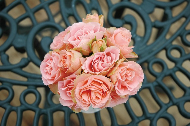 バラ ロマンティックレース 