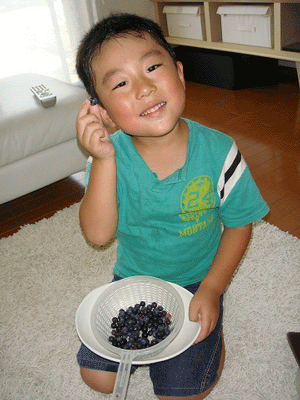 美味しいブルーベリー