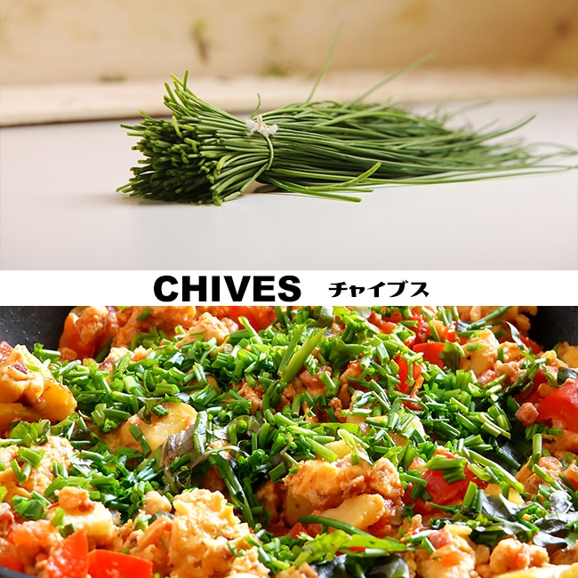 チャイブス チャイブス 1