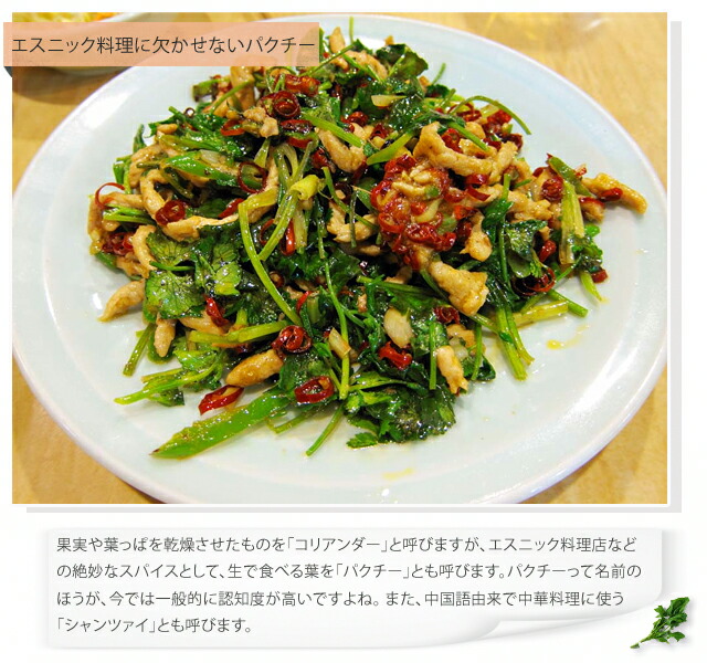  パクチー （コリアンダー ） 　料理